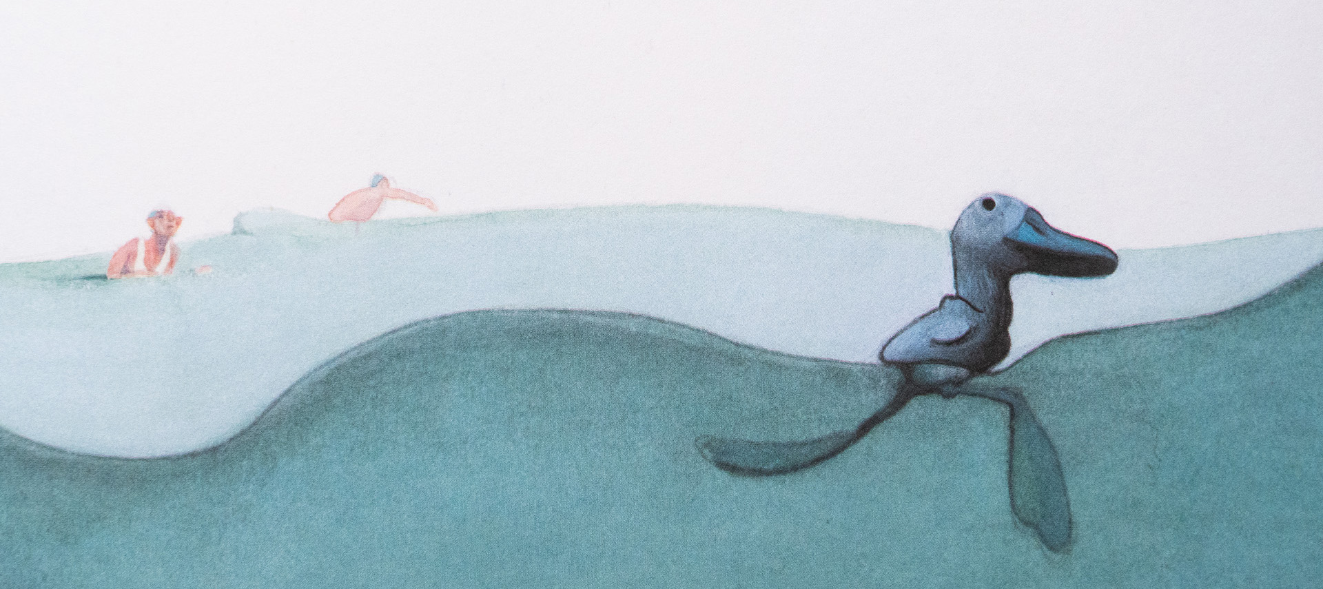 Libro ilustrado