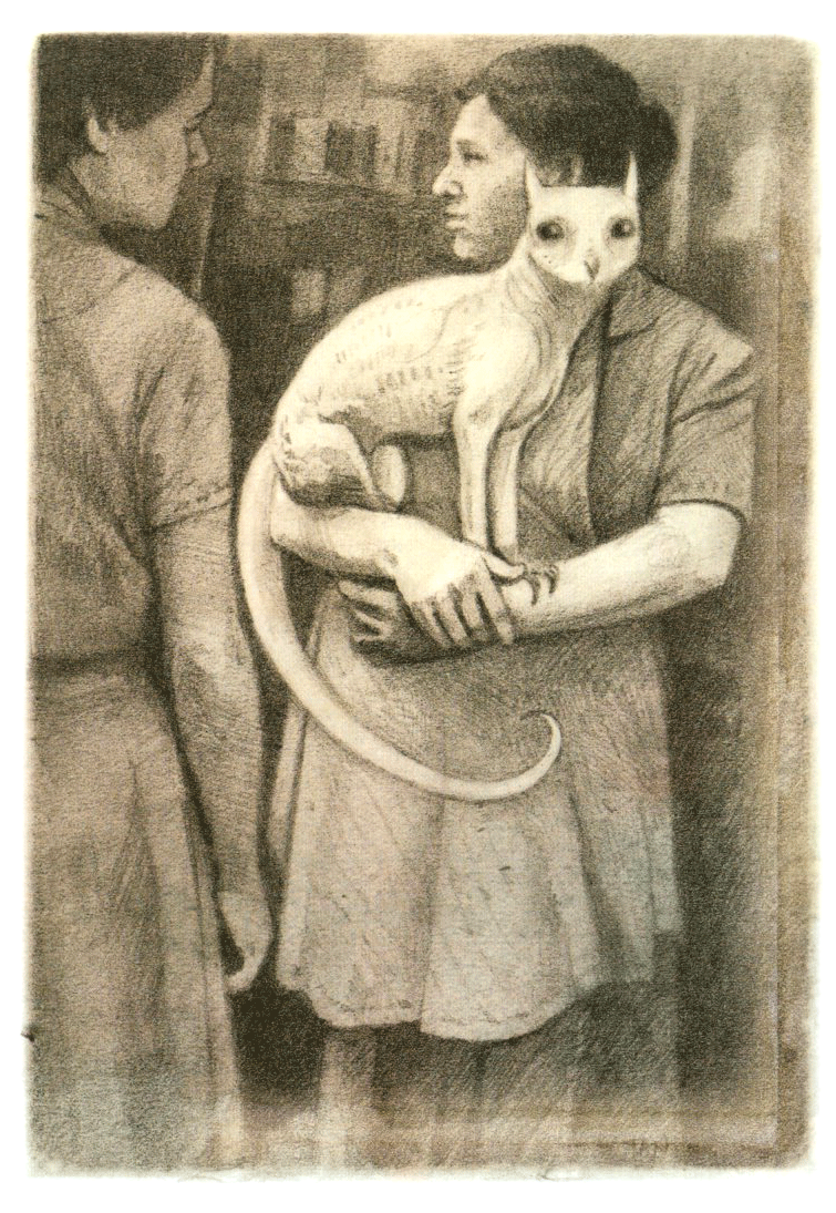 Ejemplo visual de Shaun Tan