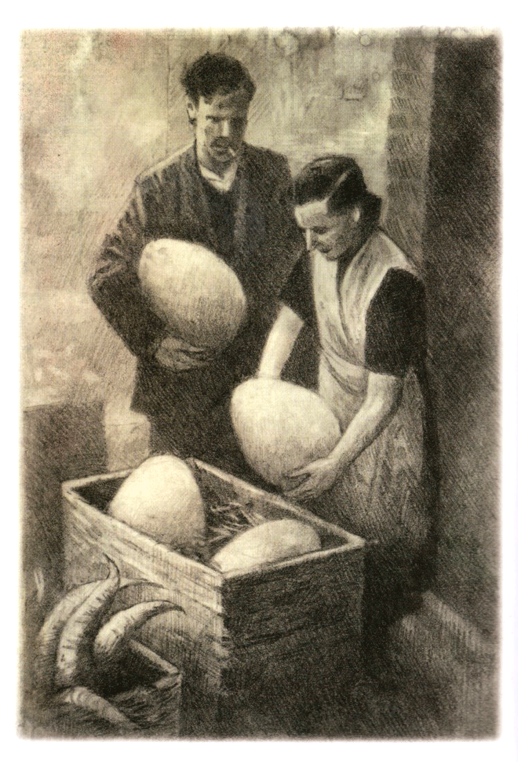 Ejemplo visual de Shaun Tan