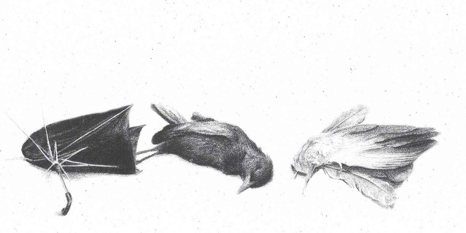 Ilustración de María Villa
